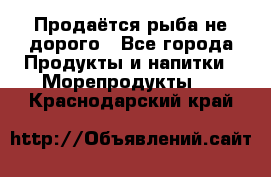 Продаётся рыба не дорого - Все города Продукты и напитки » Морепродукты   . Краснодарский край